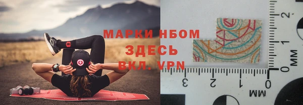 стафф Аркадак