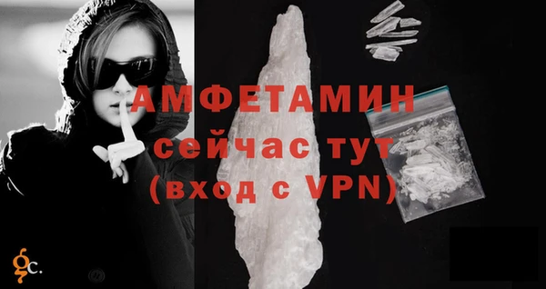 стафф Аркадак