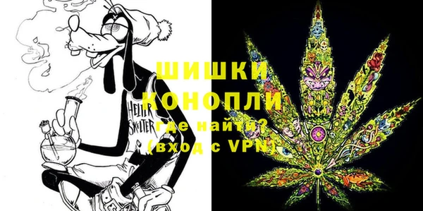 стафф Аркадак
