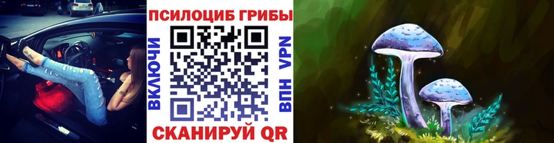 площадка телеграм Краснообск Галлюциногенные грибы Psilocybine cubensis продажа наркотиков